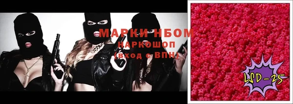 стаф Аркадак