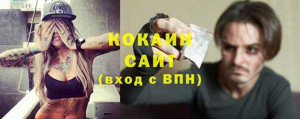 стаф Аркадак