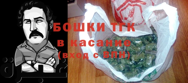 стаф Аркадак